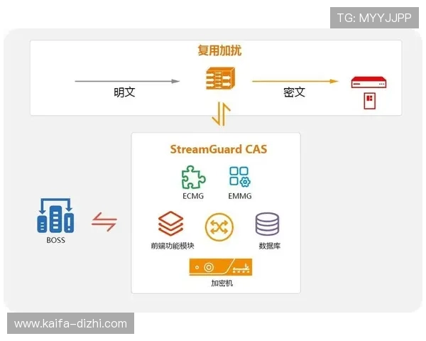深入了解PA视讯公司核心技术及其在视讯行业中的创新突破