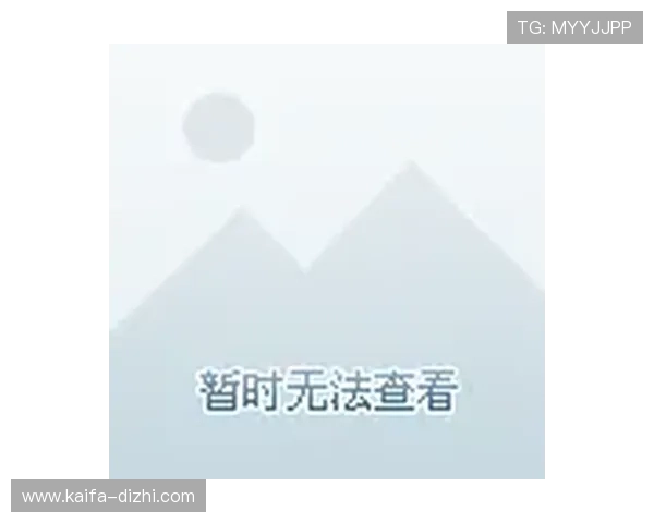 K8直营官网多平台兼容性分析,支持PC端、手机端多设备无缝切换体验