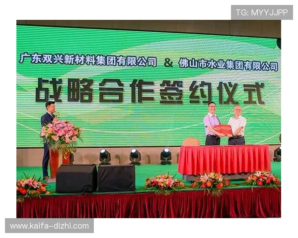 凯发集团有限公司官网:合作项目展示与成功案例分享平台 凯发集团有限公司官网:合作项目展示与成功案例分享平台